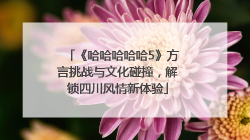 《哈哈哈哈哈5》方言挑战与文化碰撞，解锁四川风情新体验