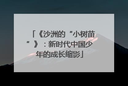 《沙洲的“小树苗”》：新时代中国少年的成长缩影