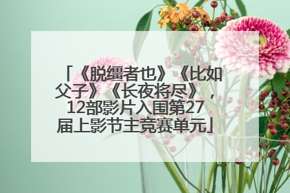 《脱缰者也》《比如父子》《长夜将尽》，12部影片入围第27届上影节主竞赛单元