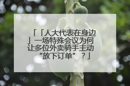 「人大代表在身边」一场特殊会议为何让多位外卖骑手主动“放下订单”？