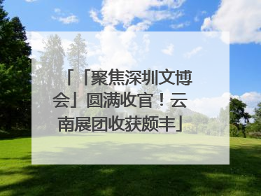 「聚焦深圳文博会」圆满收官！云南展团收获颇丰