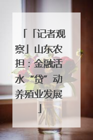 「记者观察」山东农担：金融活水“贷”动养殖业发展