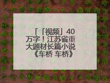 「视频」40万字！江苏省重大题材长篇小说《车桥 车桥》在淮安首发！