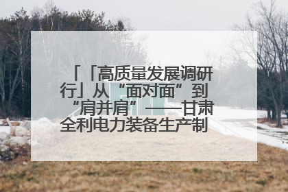 「高质量发展调研行」从“面对面”到“肩并肩”——甘肃全利电力装备生产制造项目一线见闻