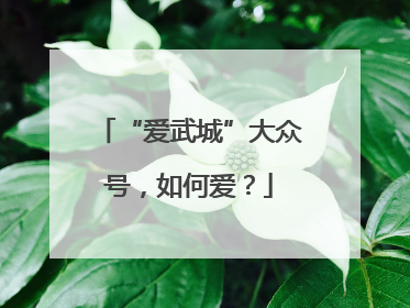 “爱武城”大众号，如何爱？