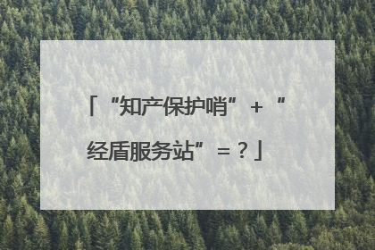 “知产保护哨”+“经盾服务站”=？