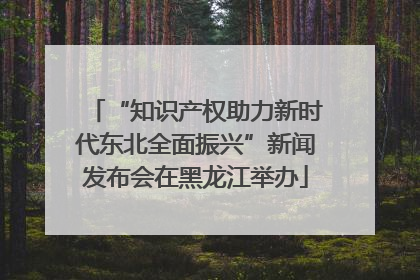 “知识产权助力新时代东北全面振兴”新闻发布会在黑龙江举办
