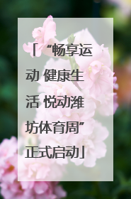 “畅享运动 健康生活 悦动潍坊体育周”正式启动