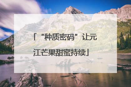 “种质密码”让元江芒果甜蜜持续