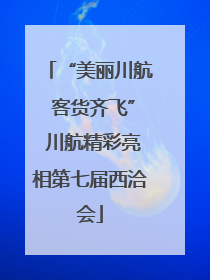 “美丽川航 客货齐飞” 川航精彩亮相第七届西洽会