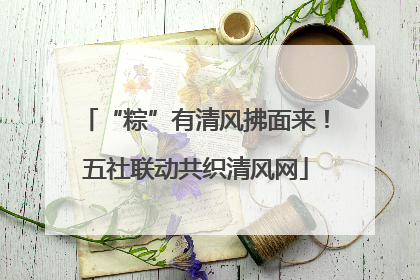 “粽”有清风拂面来！五社联动共织清风网