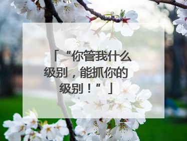 “你管我什么级别，能抓你的级别！”