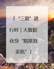 “三夏”进行时｜大数据化身“精准割麦机”