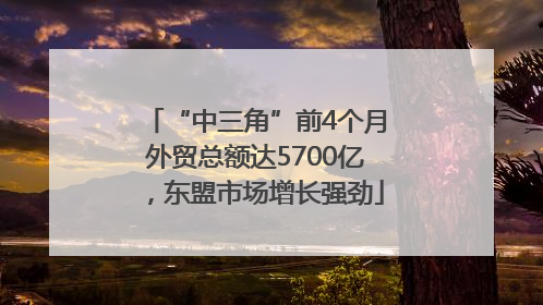“中三角”前4个月外贸总额达5700亿，东盟市场增长强劲