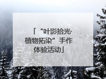 “叶影拾光·植物拓染”手作体验活动