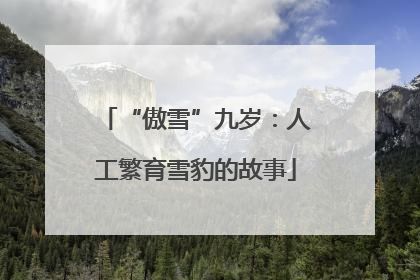 “傲雪”九岁：人工繁育雪豹的故事
