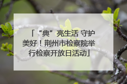 “典”亮生活 守护美好！荆州市检察院举行检察开放日活动