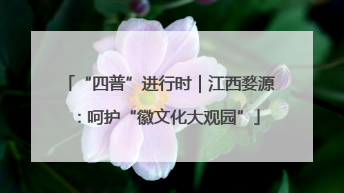 “四普”进行时｜江西婺源：呵护“徽文化大观园”