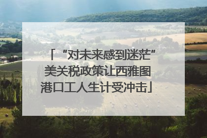 “对未来感到迷茫” 美关税政策让西雅图港口工人生计受冲击