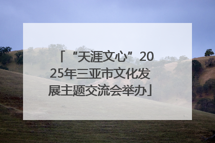 “天涯文心”2025年三亚市文化发展主题交流会举办