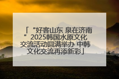 “好客山东 泉在济南”2025韩国水原文化交流活动圆满举办 中韩文化交流再添新彩