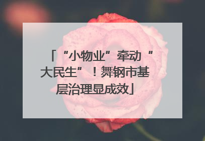 “小物业”牵动“大民生”！舞钢市基层治理显成效