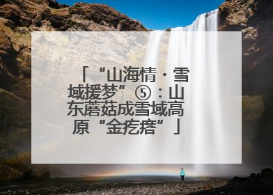 “山海情・雪域援梦”⑤：山东蘑菇成雪域高原“金疙瘩”
