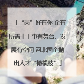 “岗”好有你 企有所需丨干事有舞台、发展有空间 河北国企抛出人才“橄榄枝”