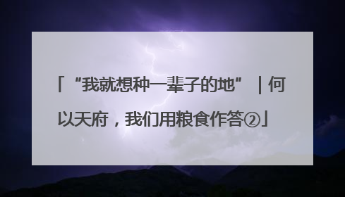 “我就想种一辈子的地”｜何以天府，我们用粮食作答②