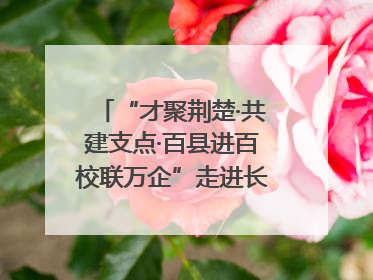 “才聚荆楚·共建支点·百县进百校联万企”走进长江大学文理学院