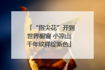 “指尖花”开到世界橱窗 小凉山千年纹样绽新色