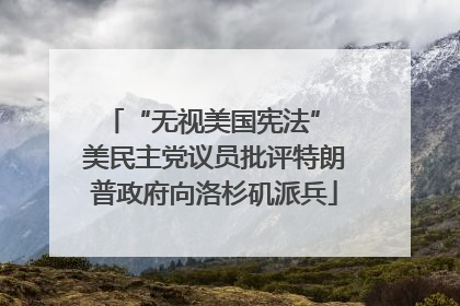 “无视美国宪法” 美民主党议员批评特朗普政府向洛杉矶派兵