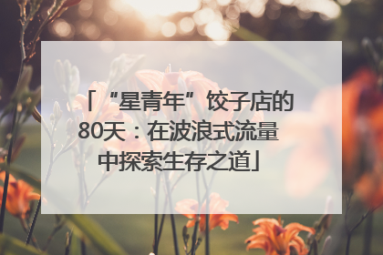 “星青年”饺子店的80天：在波浪式流量中探索生存之道
