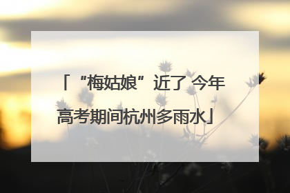 “梅姑娘”近了 今年高考期间杭州多雨水