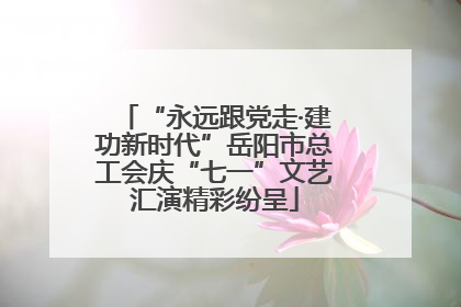 “永远跟党走·建功新时代”岳阳市总工会庆“七一”文艺汇演精彩纷呈