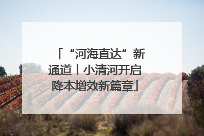“河海直达”新通道丨小清河开启降本增效新篇章