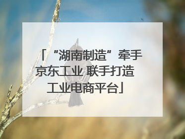 “湖南制造”牵手京东工业 联手打造工业电商平台
