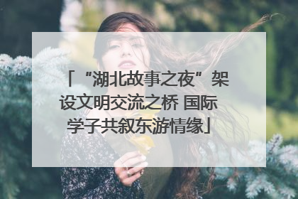 “湖北故事之夜”架设文明交流之桥 国际学子共叙东游情缘