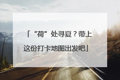 “荷”处寻夏？带上这份打卡地图出发吧
