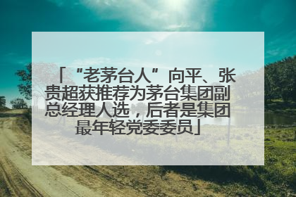 “老茅台人”向平、张贵超获推荐为茅台集团副总经理人选，后者是集团最年轻党委委员
