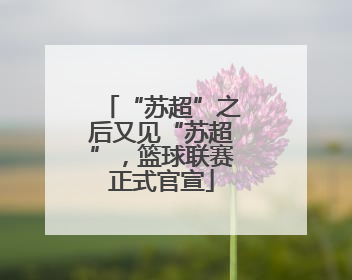 “苏超”之后又见“苏超”，篮球联赛正式官宣