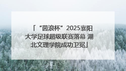 “茵浪杯”2025襄阳大学足球超级联赛落幕 湖北文理学院成功卫冕