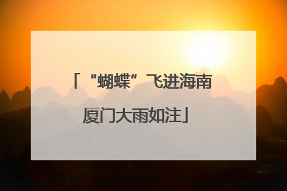 “蝴蝶”飞进海南 厦门大雨如注
