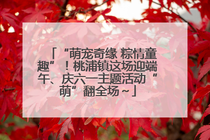“萌宠奇缘 粽情童趣”！桃浦镇这场迎端午、庆六一主题活动“萌”翻全场～