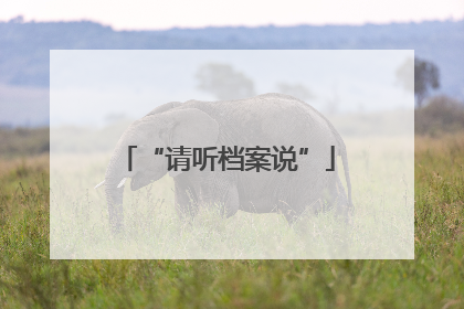 “请听档案说”