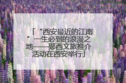 “西安最近的江南”一生必到的浪漫之地——郧西文旅推介活动在西安举行