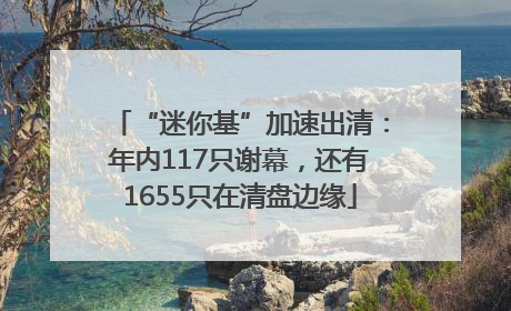 “迷你基”加速出清：年内117只谢幕，还有1655只在清盘边缘