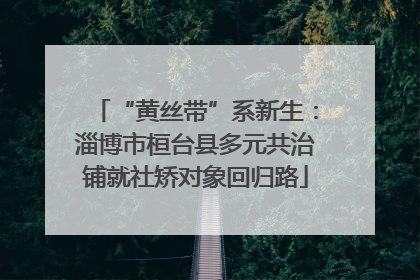 “黄丝带”系新生：淄博市桓台县多元共治铺就社矫对象回归路