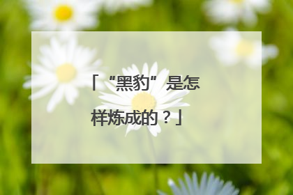 “黑豹”是怎样炼成的？