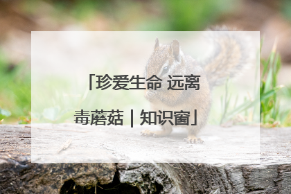 珍爱生命 远离毒蘑菇｜知识窗